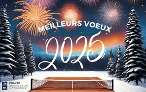 Meilleurs vœux pour 2025